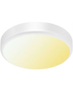 LED Plafondlamp met Sensor - Brinton Sensin - 15W - Helder/Koud Wit 6500K - Rond - Mat Wit - Aluminium