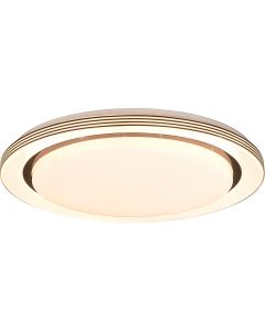 LED Plafondlamp - Plafondverlichting - Trion Atras - 21W - Aanpasbare Kleur - Afstandsbediening - Dimbaar - Sterlicht - Rond - Mat Zwart - Kunststof