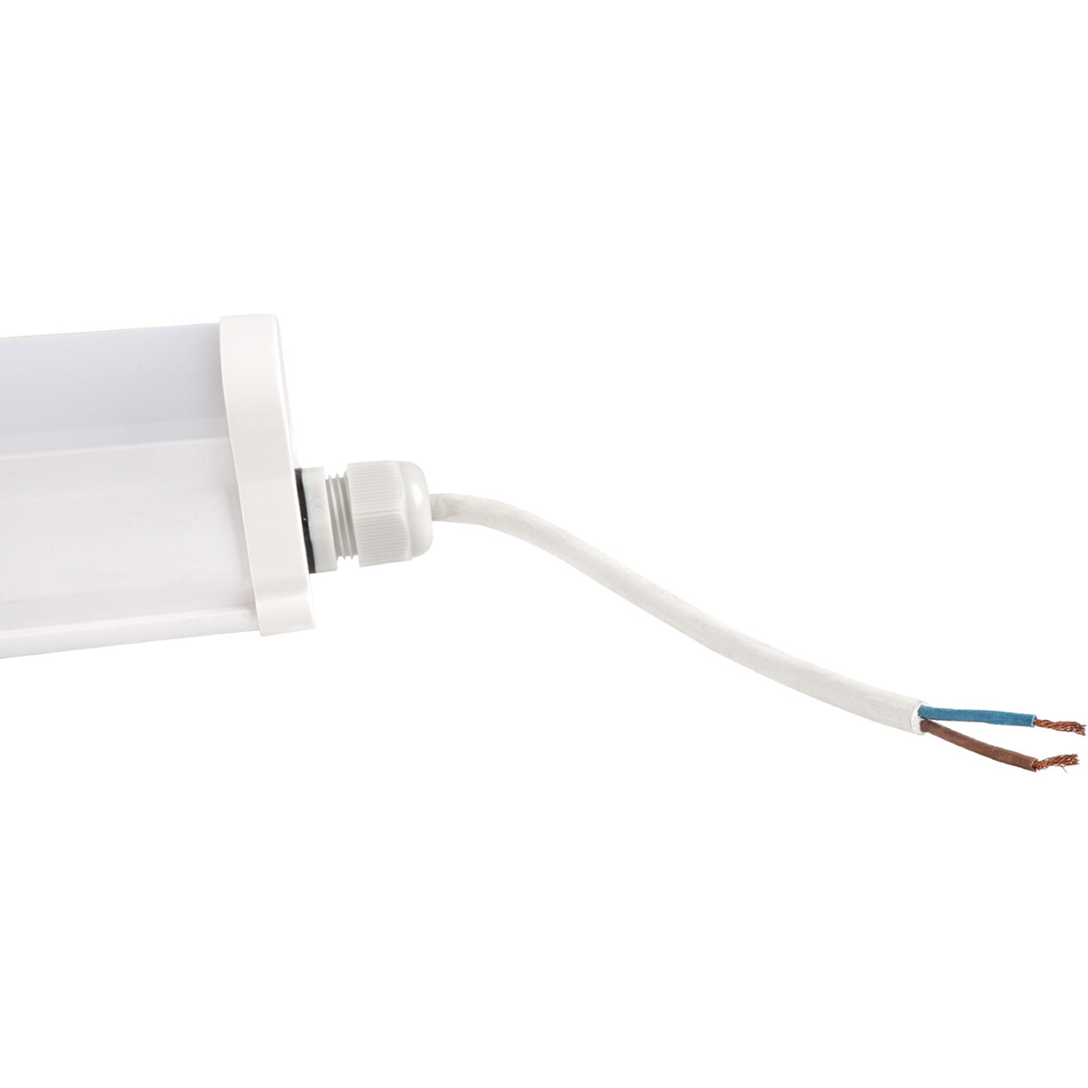 Réglette LED - Aigi Haras - 50W - Étanche IP65 - Blanc Froid 6500K - Mat Blanc - Plastique - 150cm