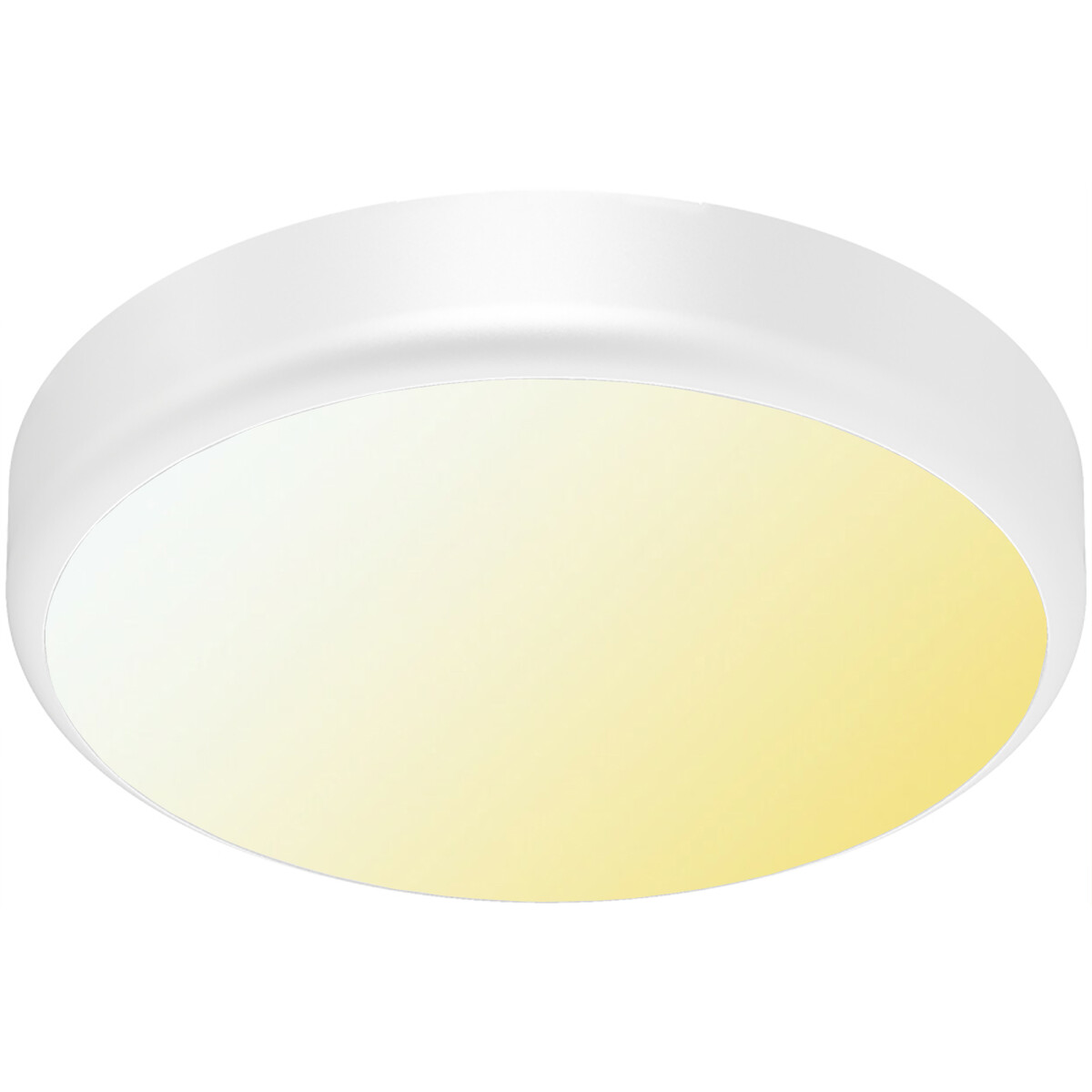 LED Plafonnier avec Capteur + Capteur Jour/Nuit - Brinton Gruna - 20W 2000lm - Température de Lumière CCT Ajustable - IP54 - Apparente - Rond - Blanc