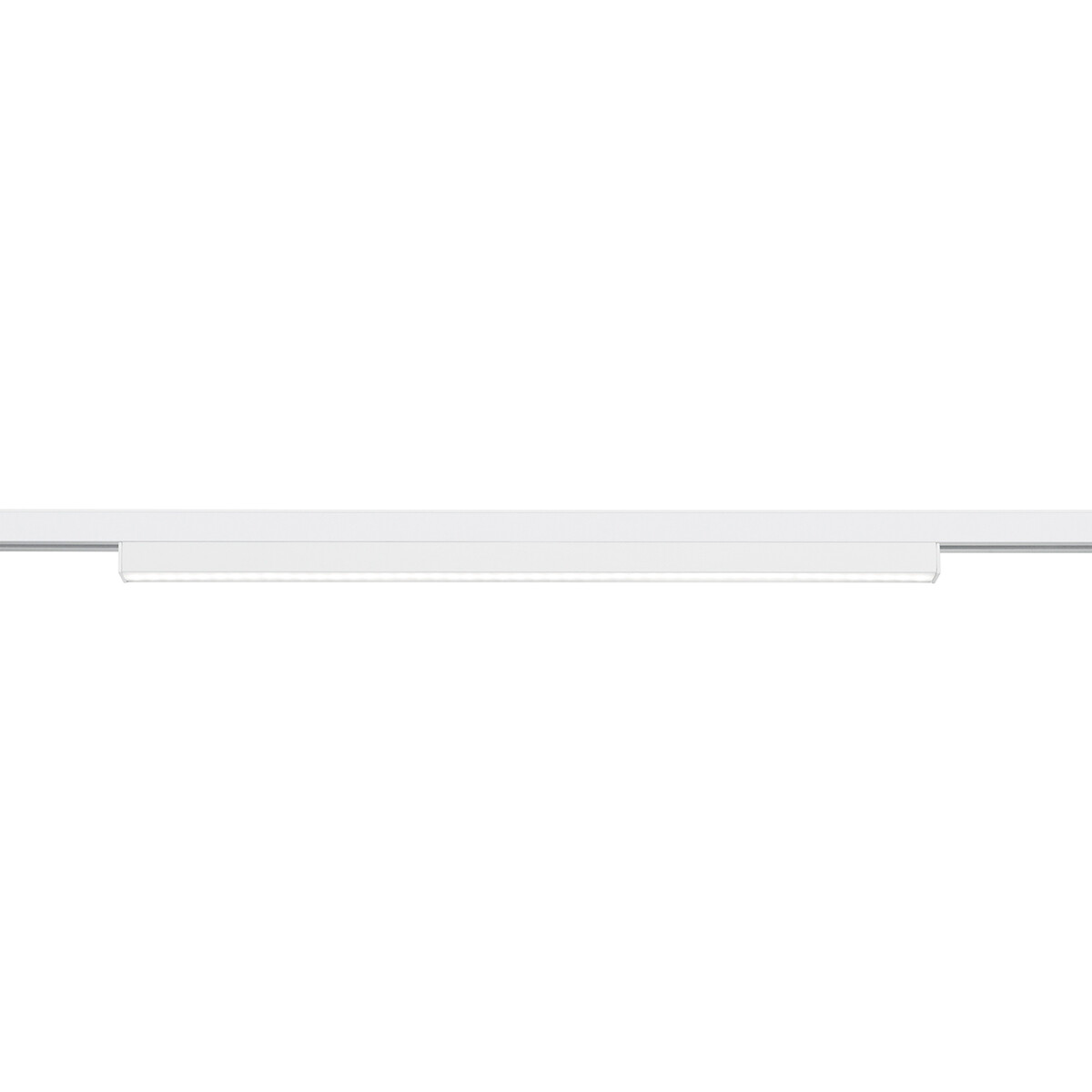 Éclairage sur rail LED - Poutre - Trion Dual Pany - 2 Phases - 6W - Blanc Chaud 3000K - Dimmable - Mat Blanc - Plastique