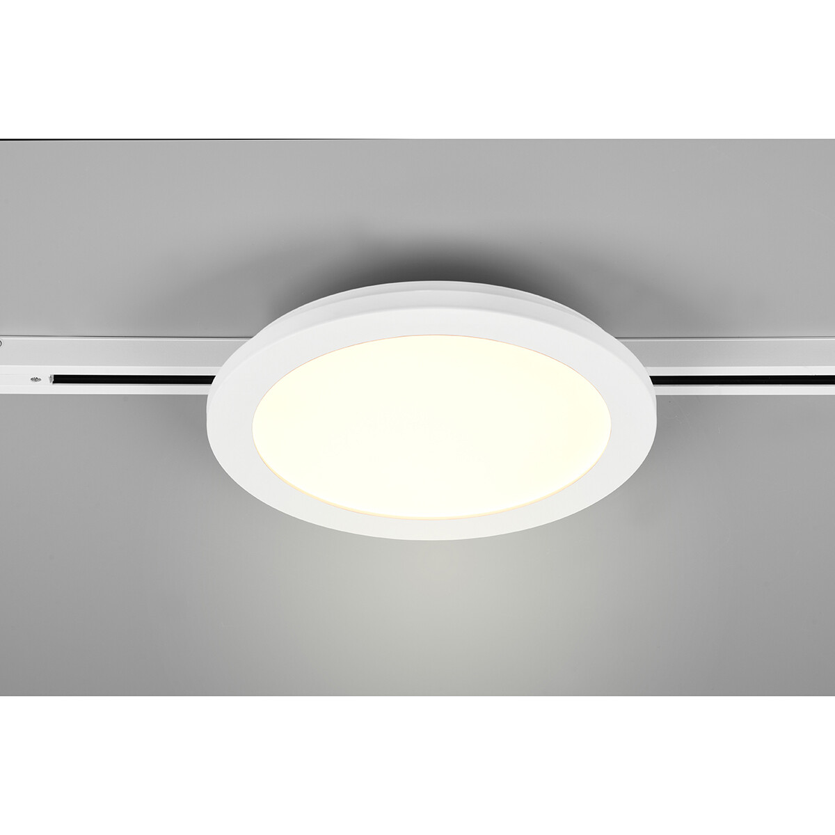 Éclairage sur rail LED - Lampe de Plafond - Éclairage de Plafond - Trion Dual Camy - 2 Phases - 13W - Blanc Chaud 3000K - Dimmable - Rond - Mat Blanc - Plastique