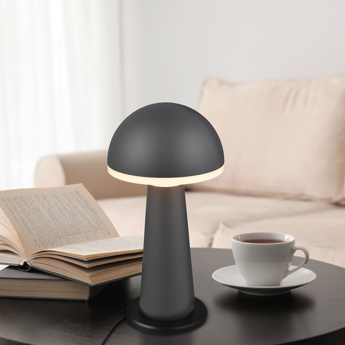 LED Lampe de Table - Trion Lungo - 2W - Couleur Ajustable - Batteries Rechargeables - Anthracite - Aluminium Moulé