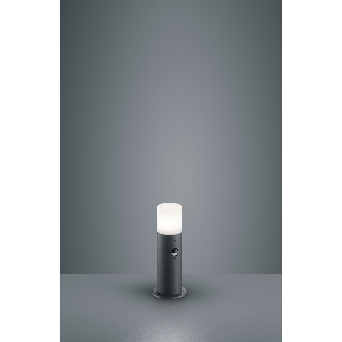 Éclairage de Jardin LED avec Détecteur de Mouvement - Lampe d'Extérieur Debout - Trion Hosina - Douille E27 - Étanche aux Éclaboussures IP44 - Mat Anthracite - Aluminium