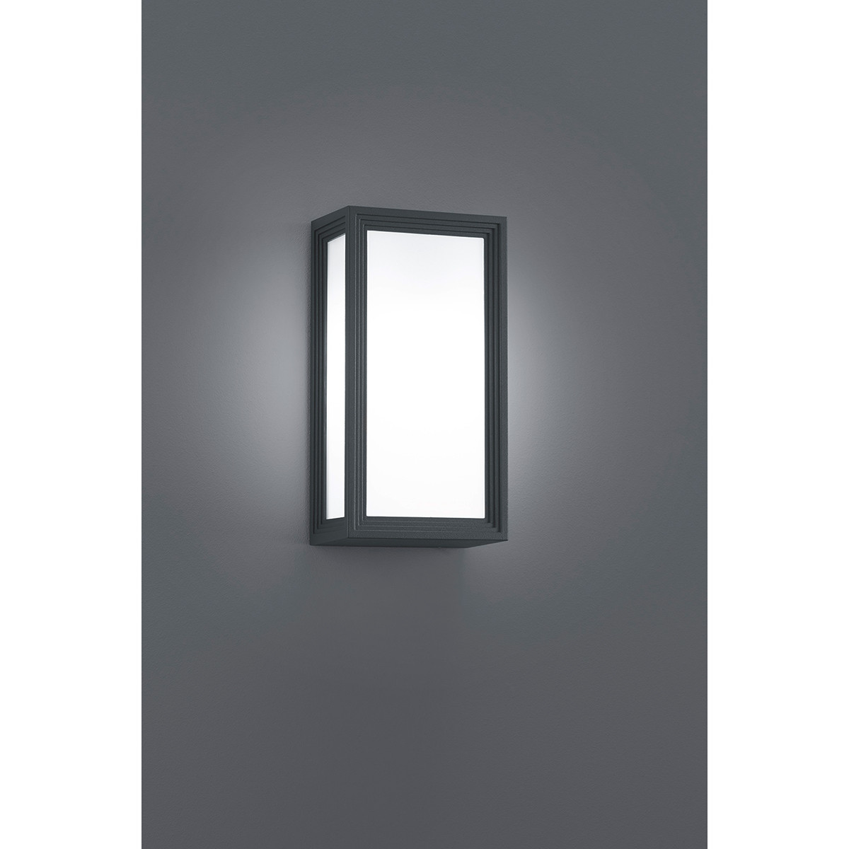 Éclairage de Jardin LED - Lampe de Jardin - Trion Trimy - Mur - 5W - Mat Anthracite - Aluminium